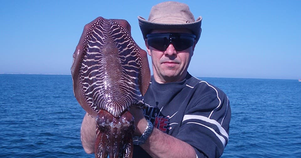 Cuttlefish & Squid Fishing with The Tattoo Fisher in Isla Canela