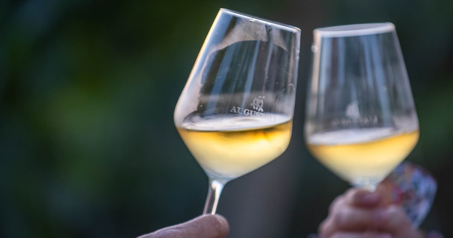 Wine & Farm Tour at Sicily Wine Experience