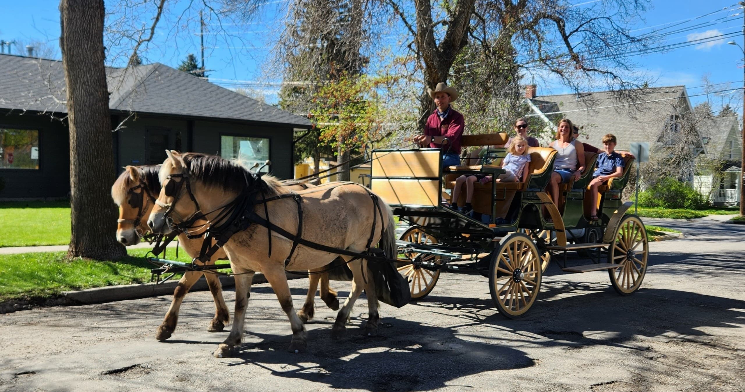 Scenic Half-Hour Carriage Ride in Historic Bozeman