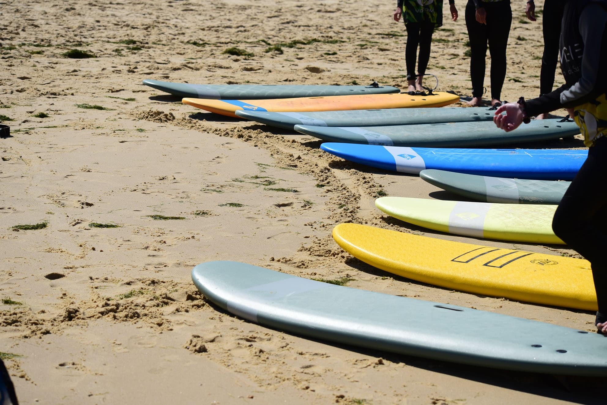 One-Day Softech Surfboard Rental in Biscarrosse for Sunrise and Sunset Sessions photo 1