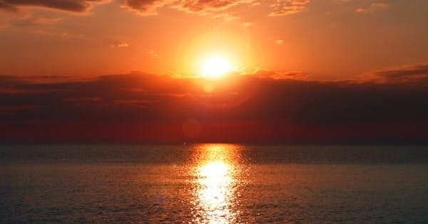 Dolphin-Sunset Cruise with Florida Family Boating in Clearwater