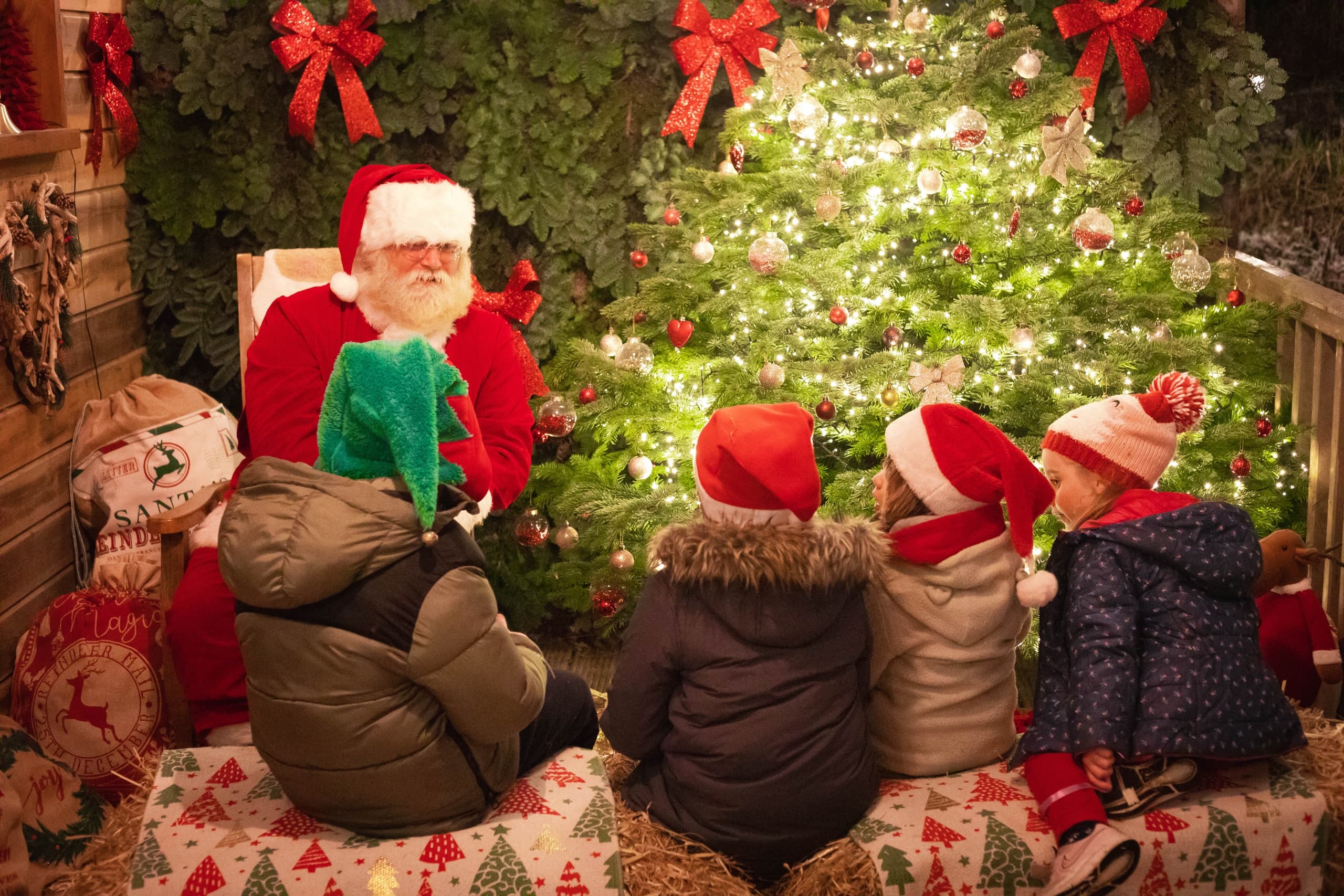 Magical Santa Horse Carriage Ride Through Rathdrum’s Holiday Forest