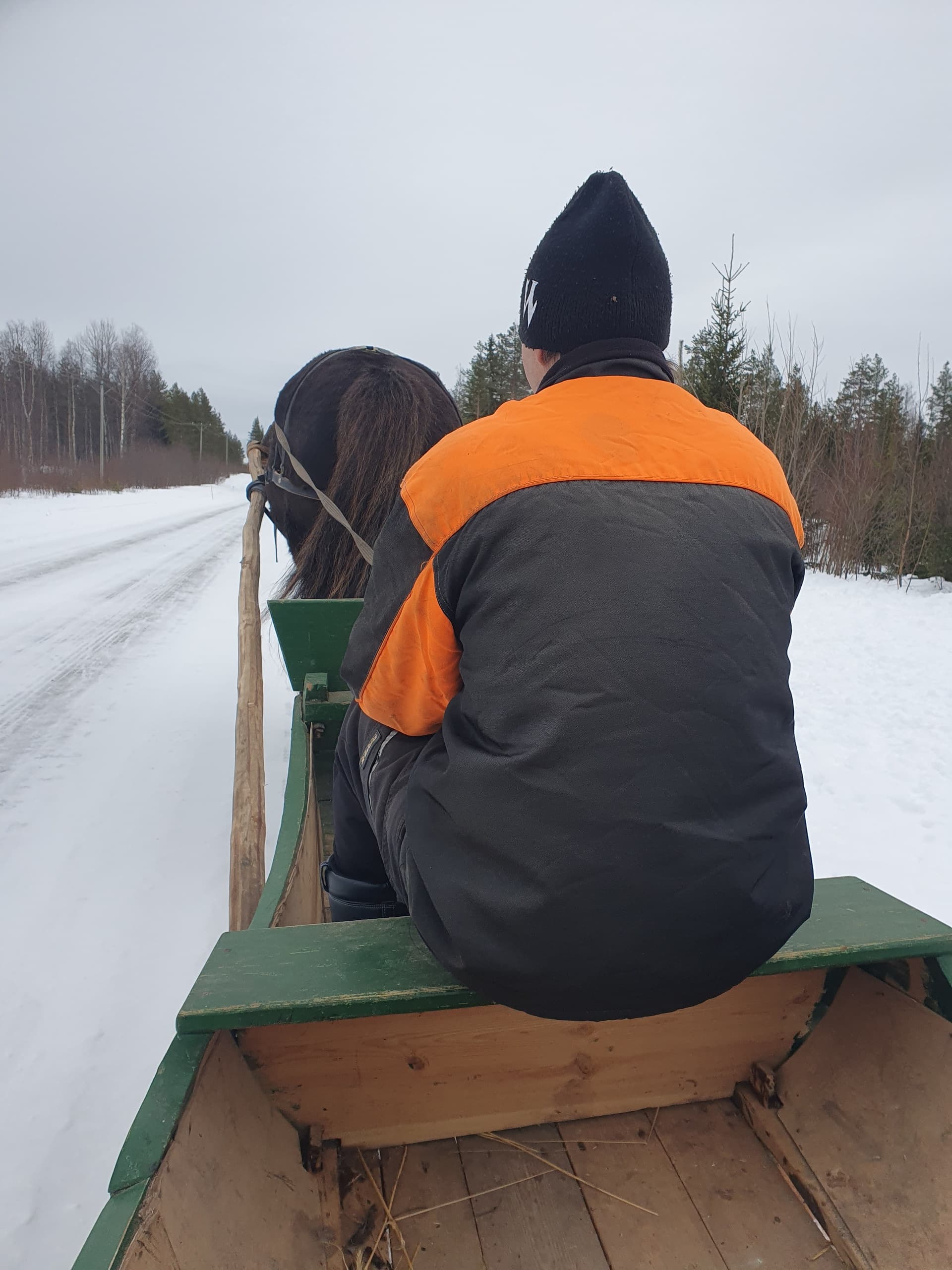 Horse Sleigh Drive Under the Northern Lights in Simo, Finland photo 1