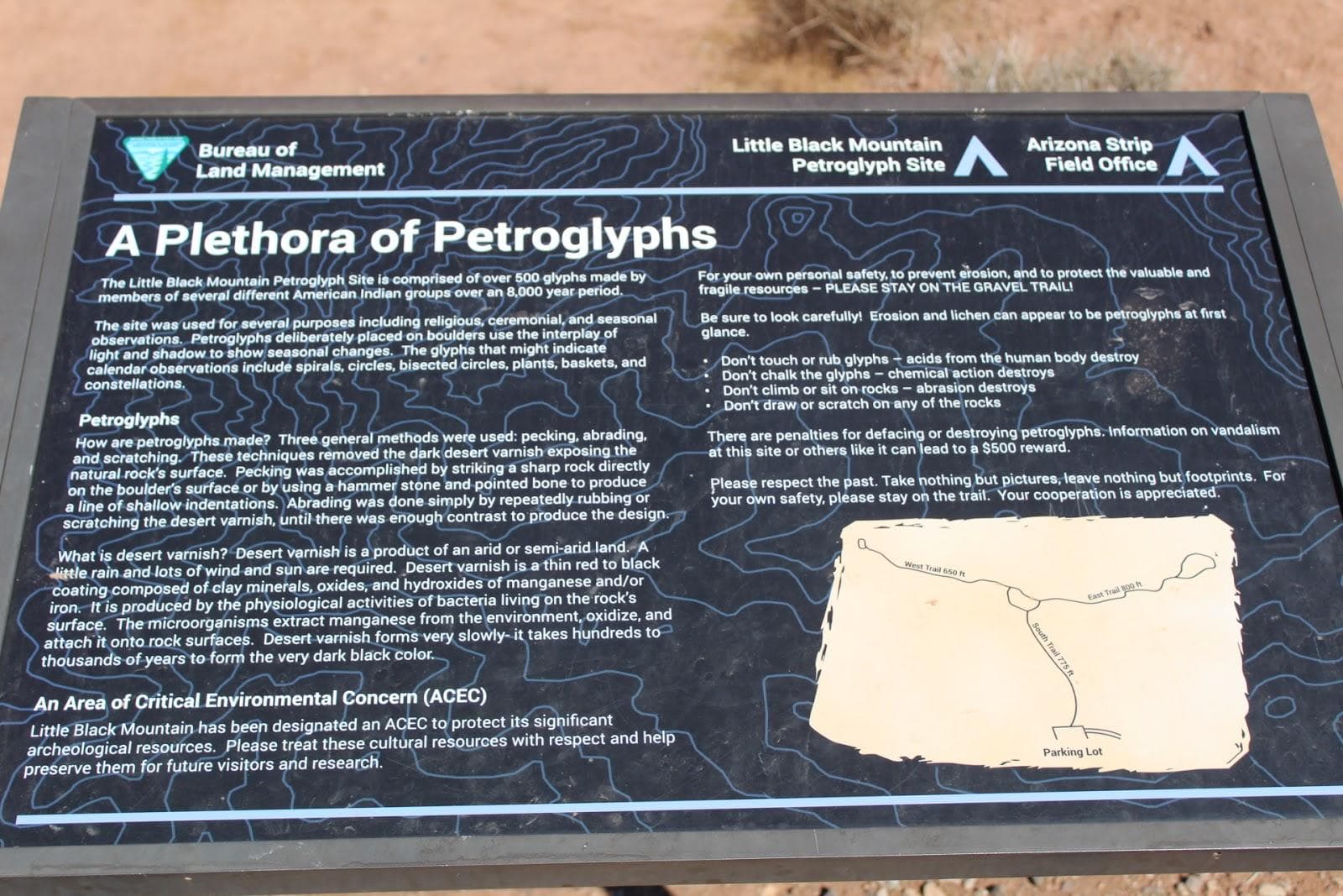 Explore Ancient Petroglyphs in Ivin’s Desert Wonders