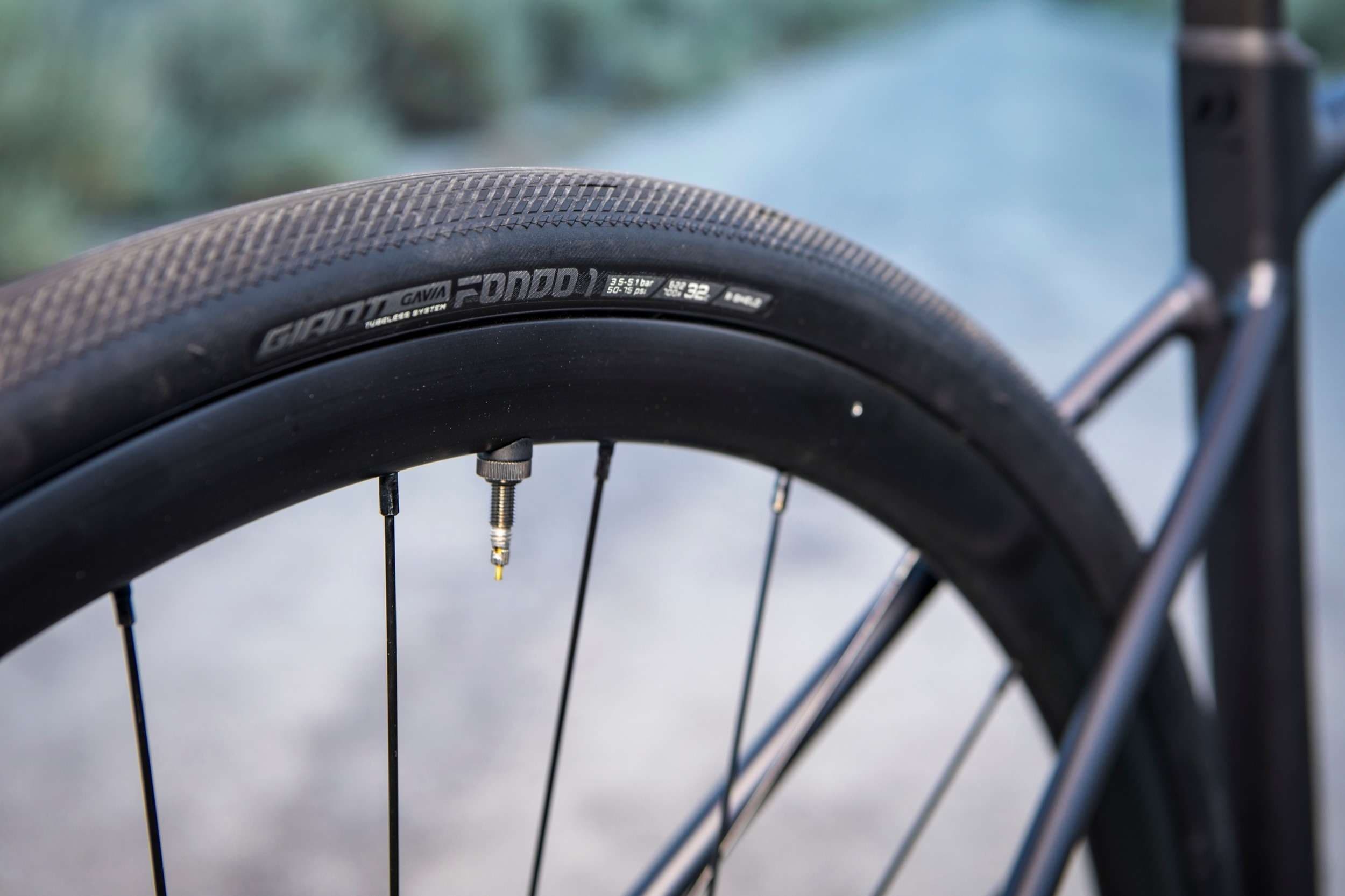 Bike Land Adventures at High Peaks Cyclery