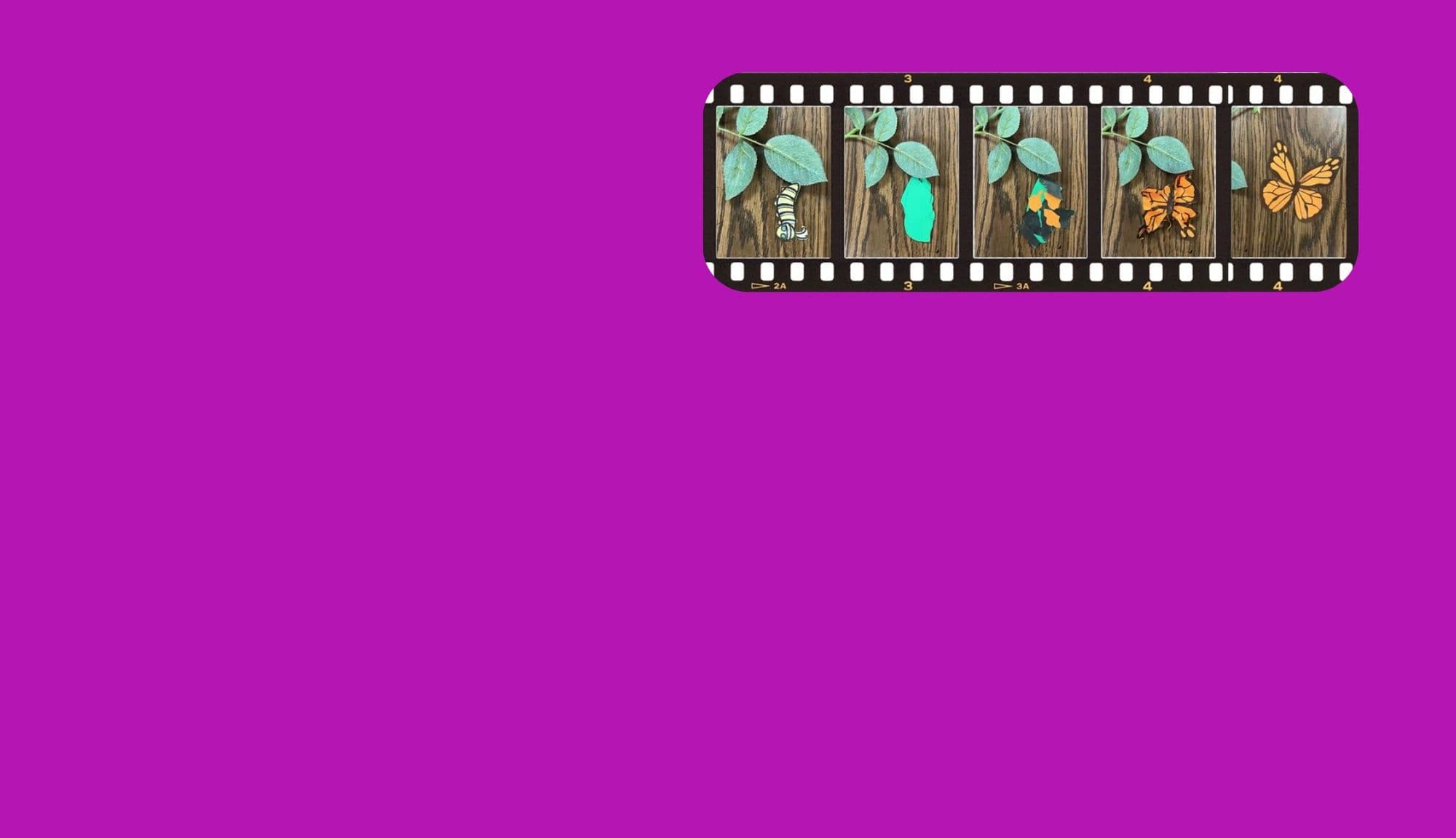 Schools Out Camp: Stop-Motion Animation — One-Day Filmmaking Workshop in Midland, MI