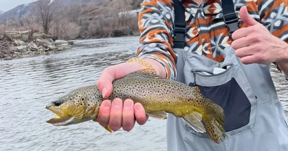 Full Day Guided Fishing Adventure in Utah’s Pristine Waters