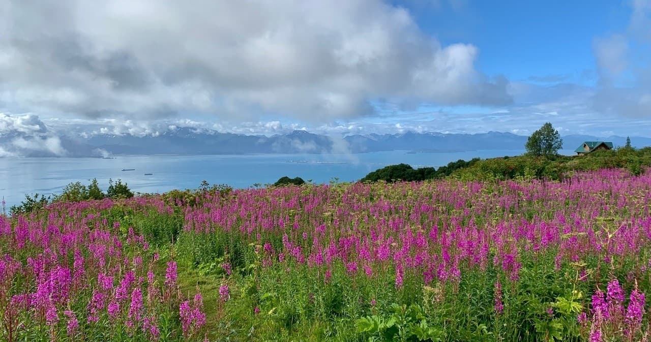 Center for Alaskan Coastal Studies team