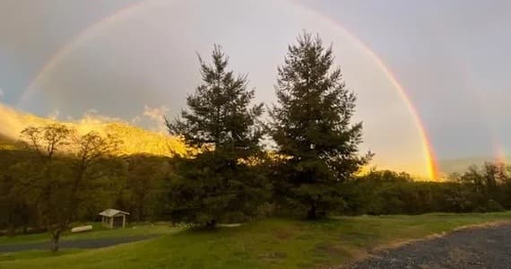 1-Night Dog Boarding in Big Oak Flat, California