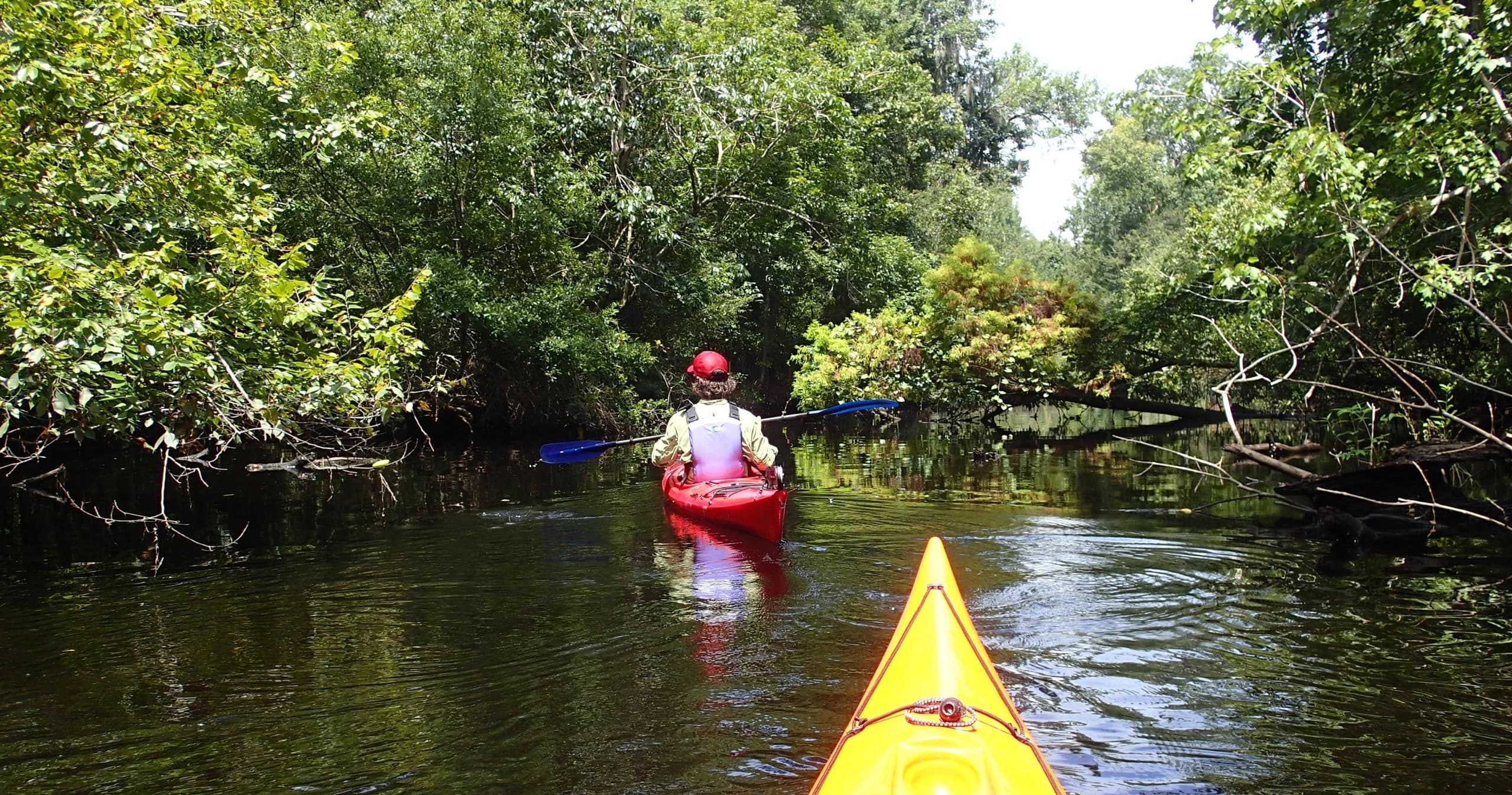 Wildlife Encounters with Earth Kinship at Deep Creek, Florida