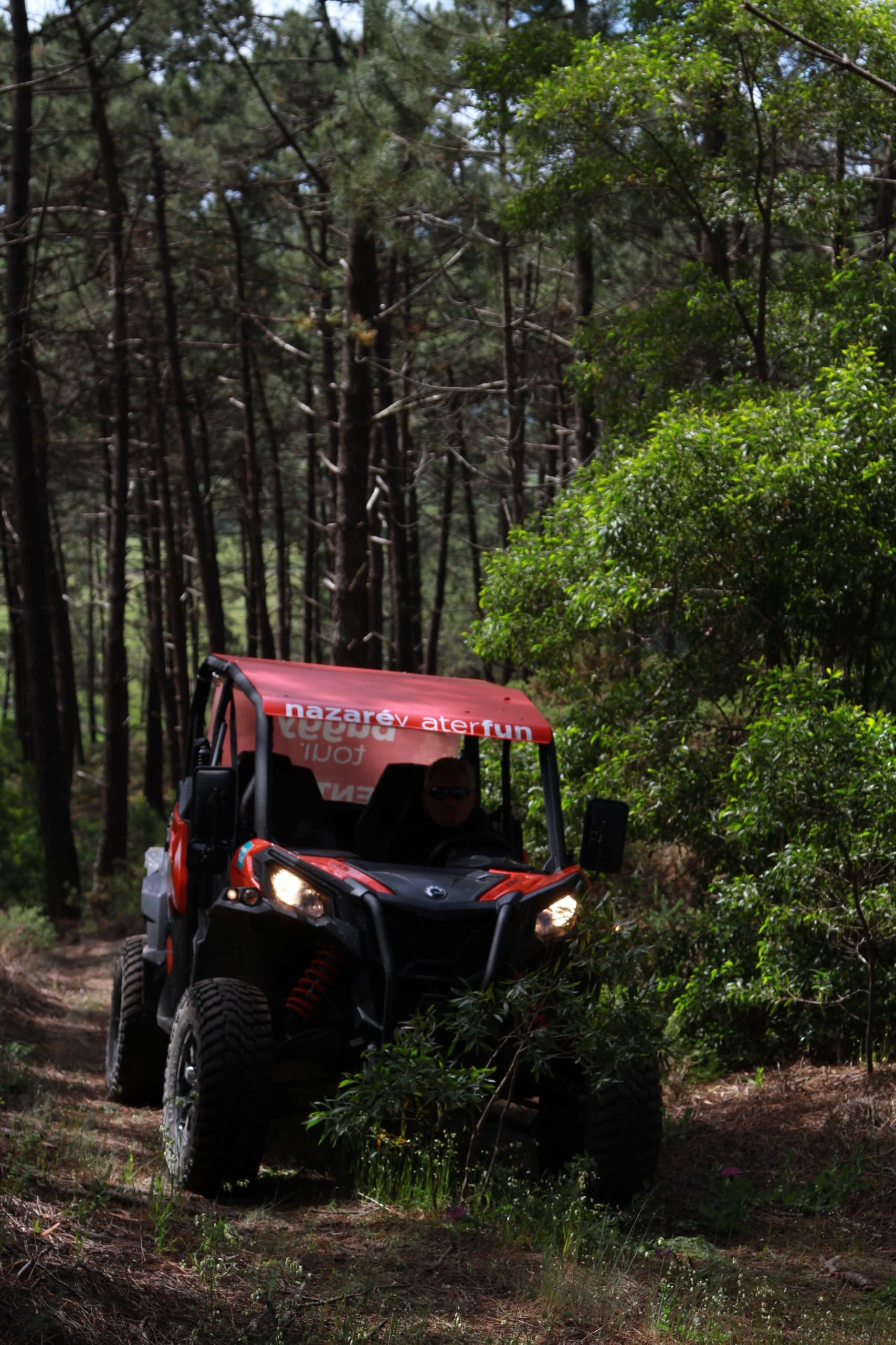 Off-Road Adventure in Nazaré with Pinhal Buggy Tour