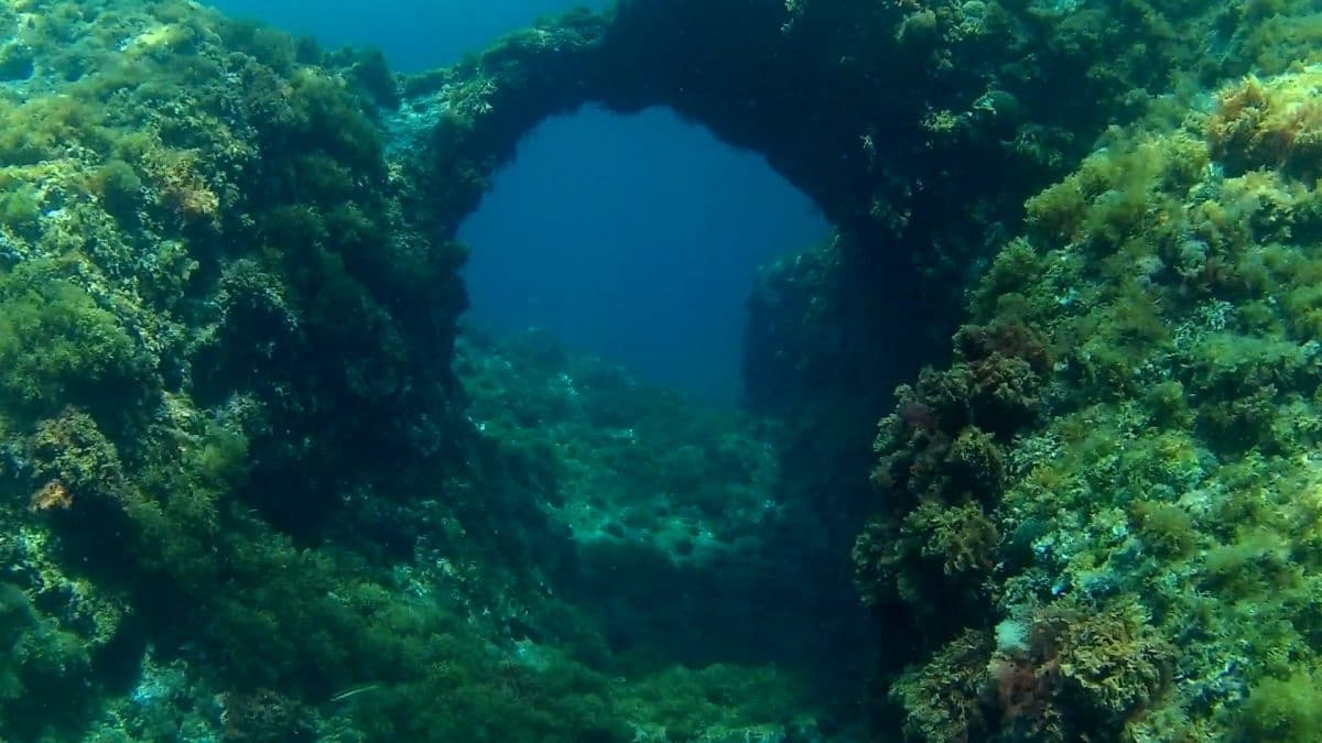 Montgrí Coast Diving with Unisub Estartit
