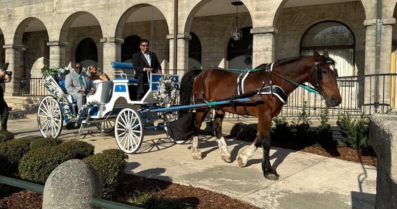 Classic Horse-Drawn Carriage Tour by Old City Carriages
