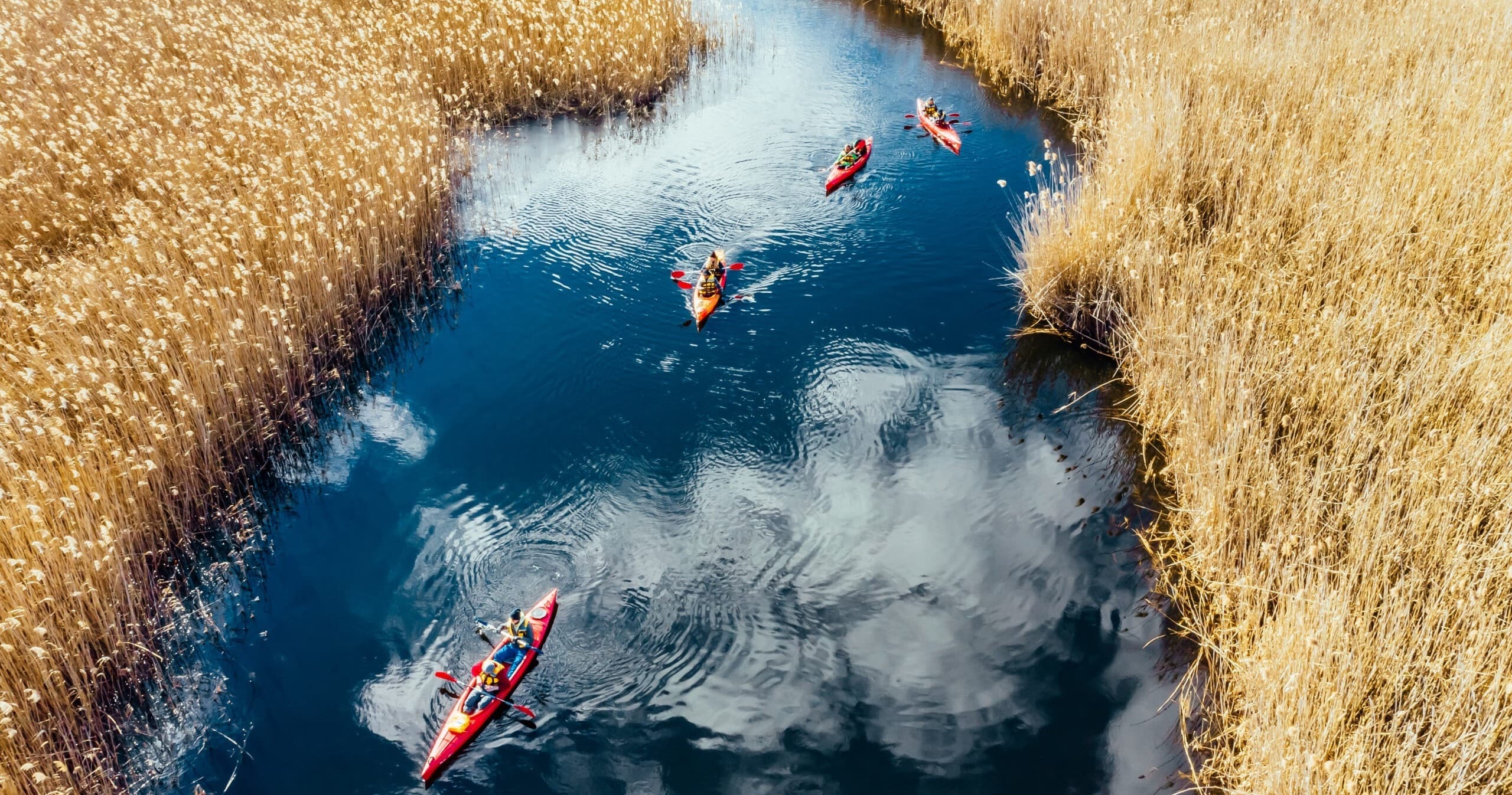 Water Activities in Frankfort, Michigan
