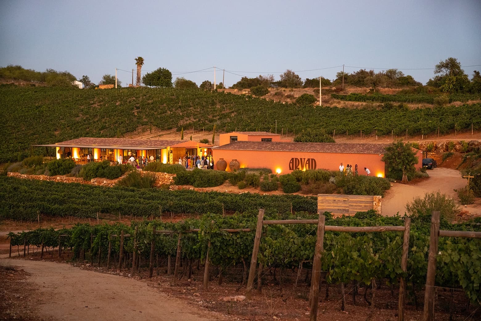 Water Activities & Wine Tasting at Arvad Sunset