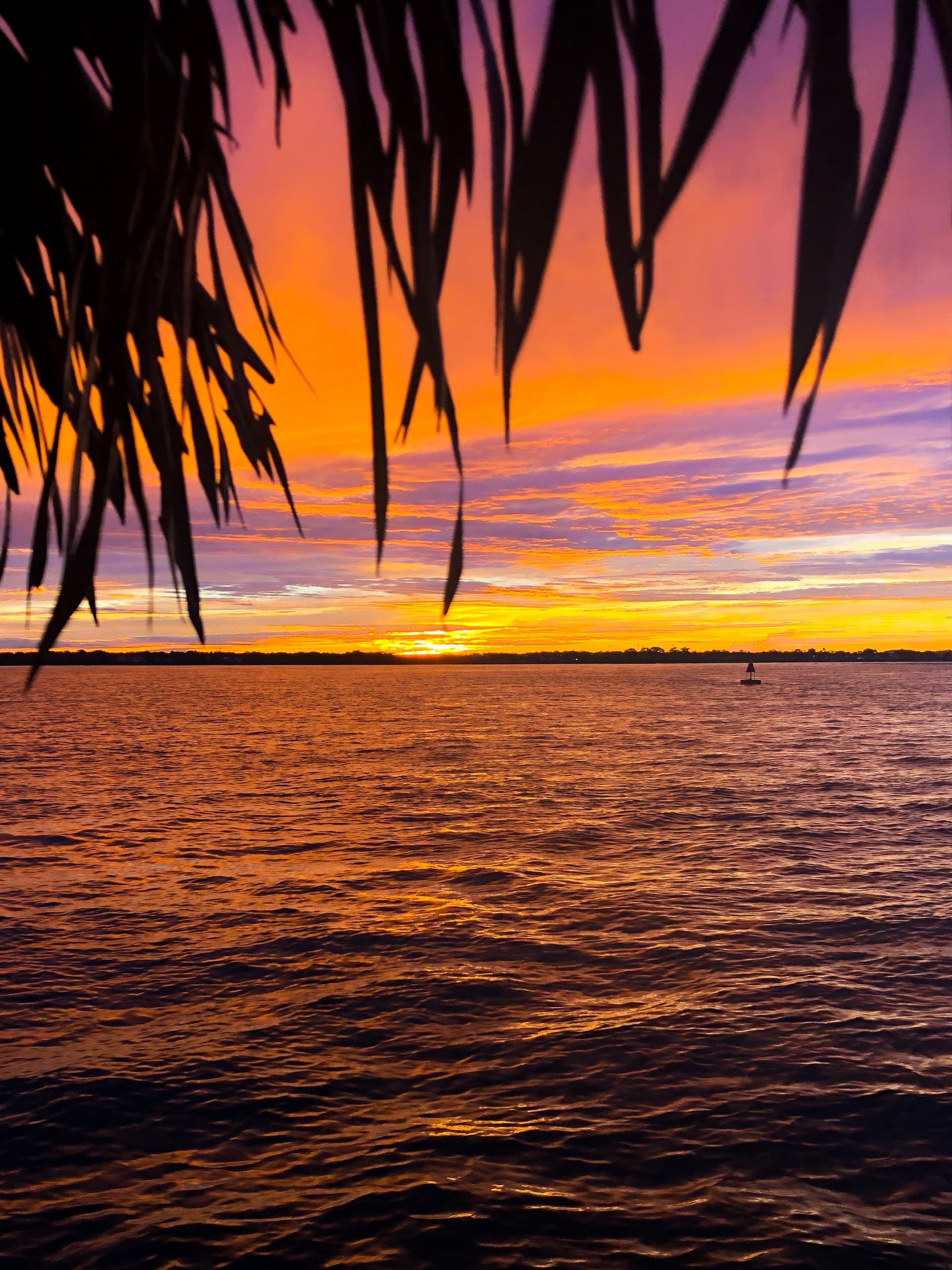 Sunset Cruises on Amelia River with Cruisin Tikis