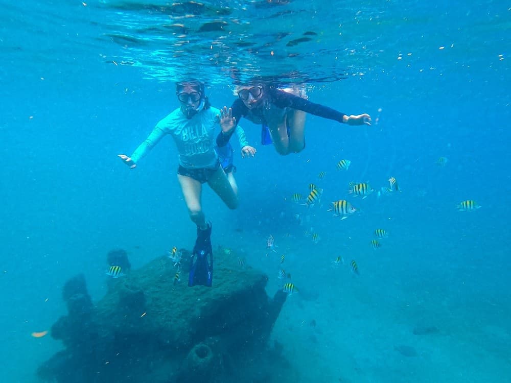 Guided Snorkel Tour at Blue Heron Bridge, Florida