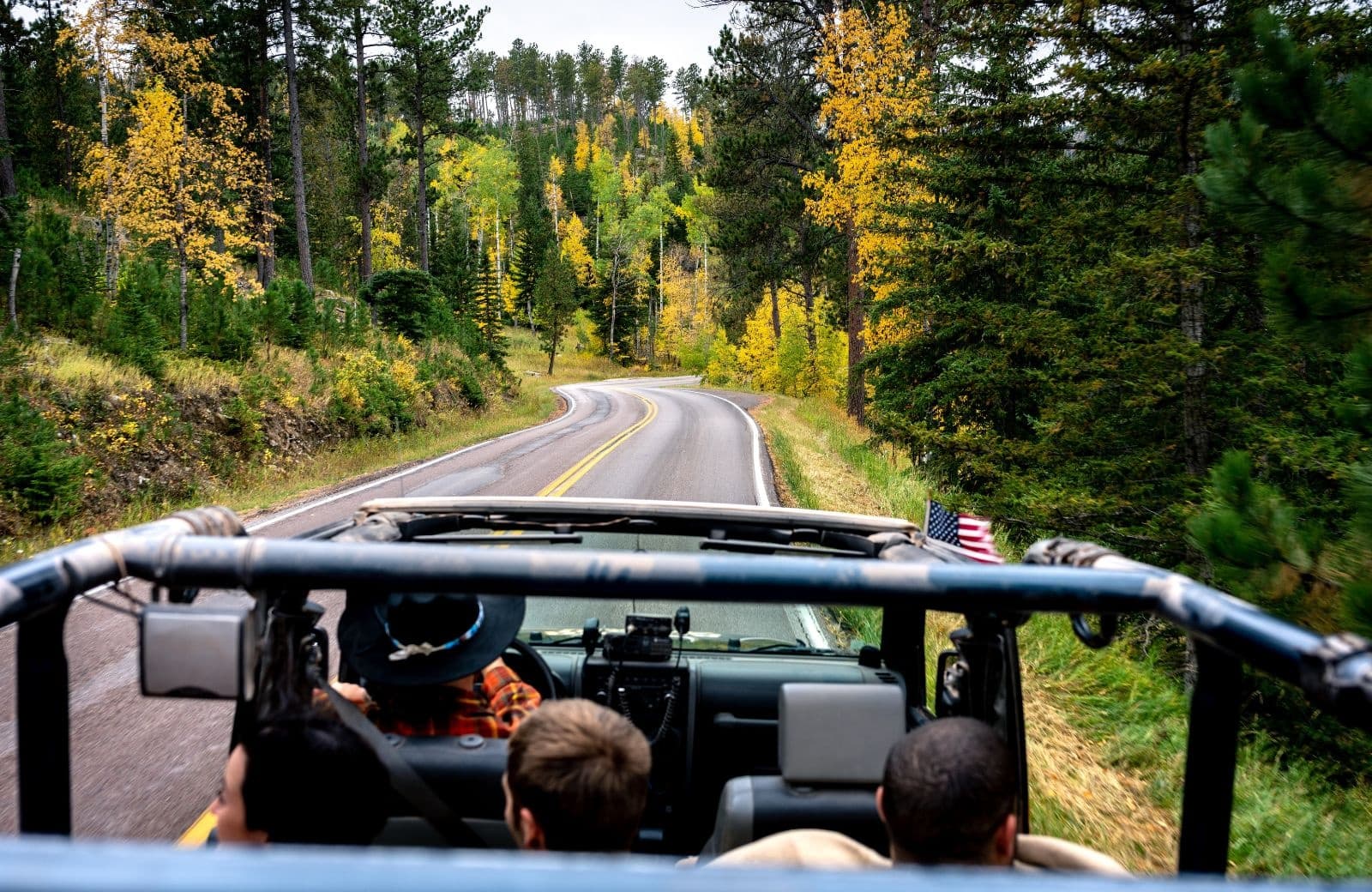 Scenic drive view from open vehicle looking down winding forest road