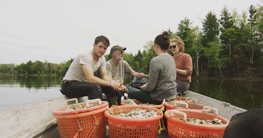 Water Activities at North Haven Oyster Co: Farm & Scenic Cruise