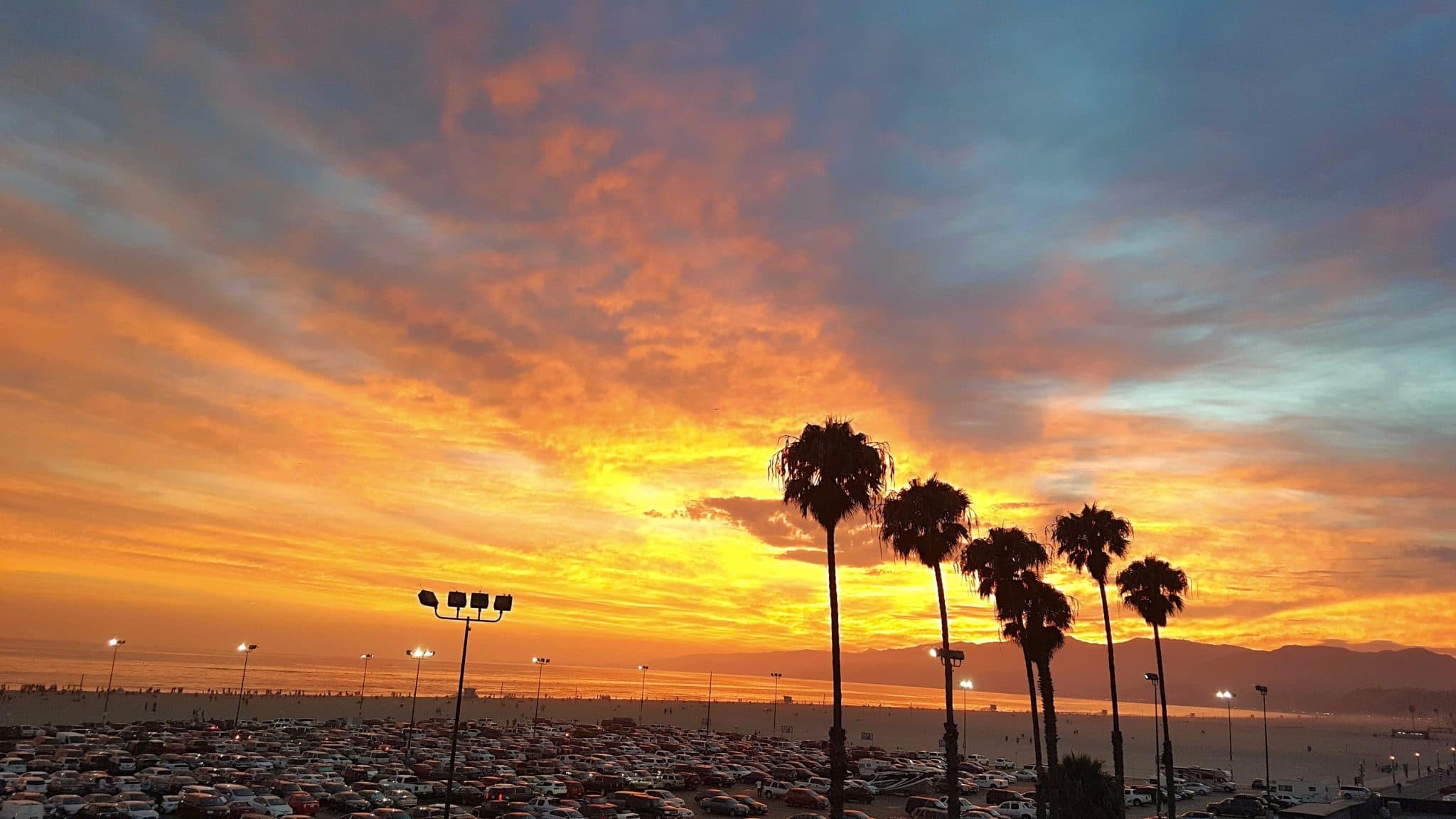 Land-Adventures: EarthStock Experience in Santa Monica