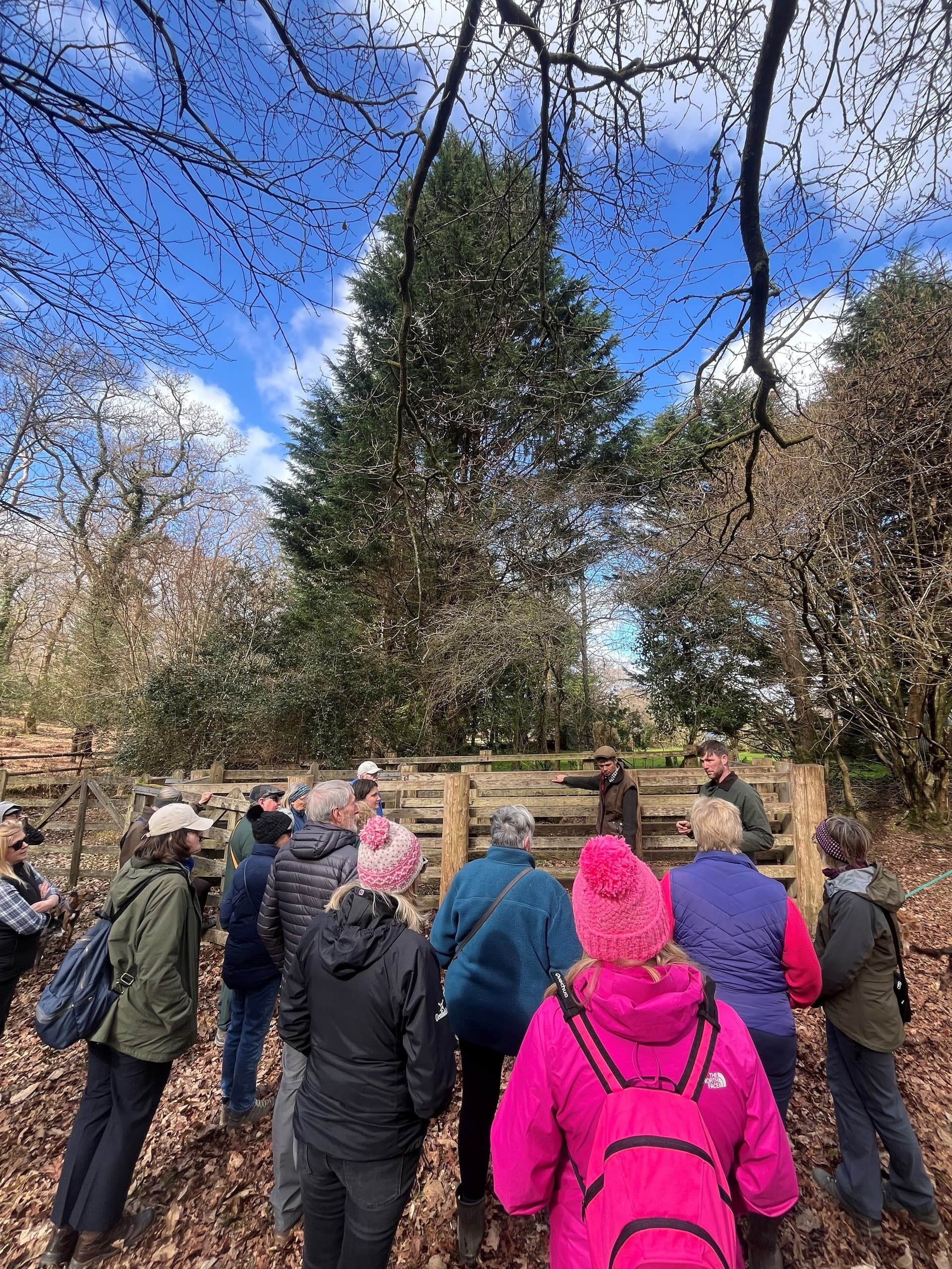 Young Commoners Walk and Talk: Experience New Forest Commoning in Brockenhurst photo 2