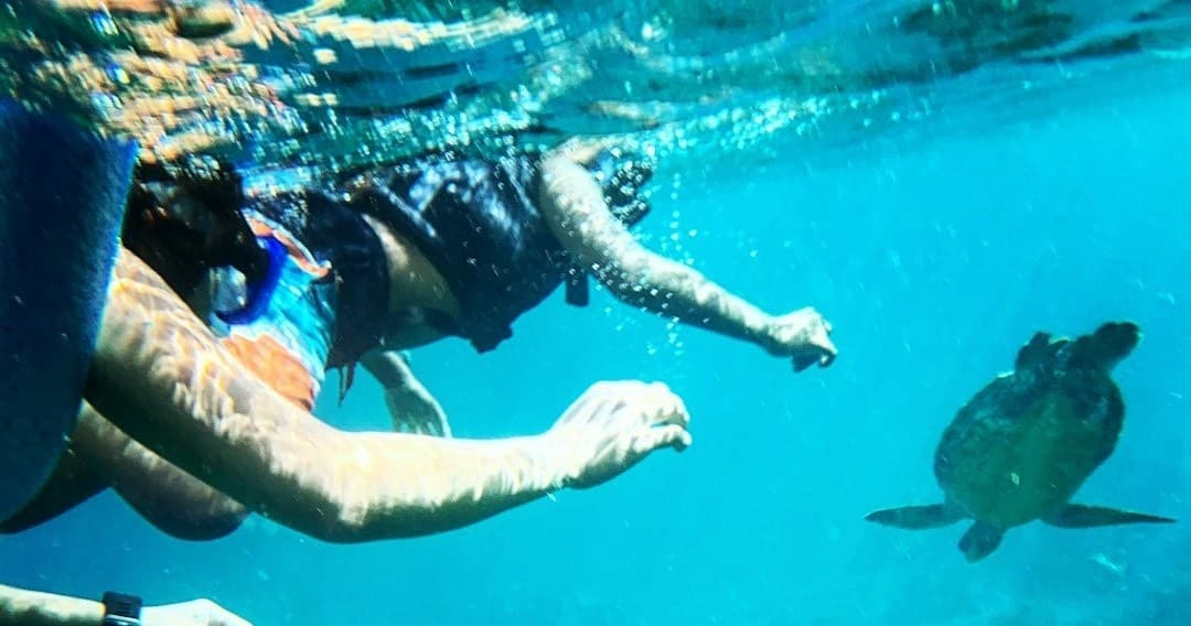 Vieques Snorkel Tour: Guided Coral Garden Snorkeling in Calm Caribbean Waters