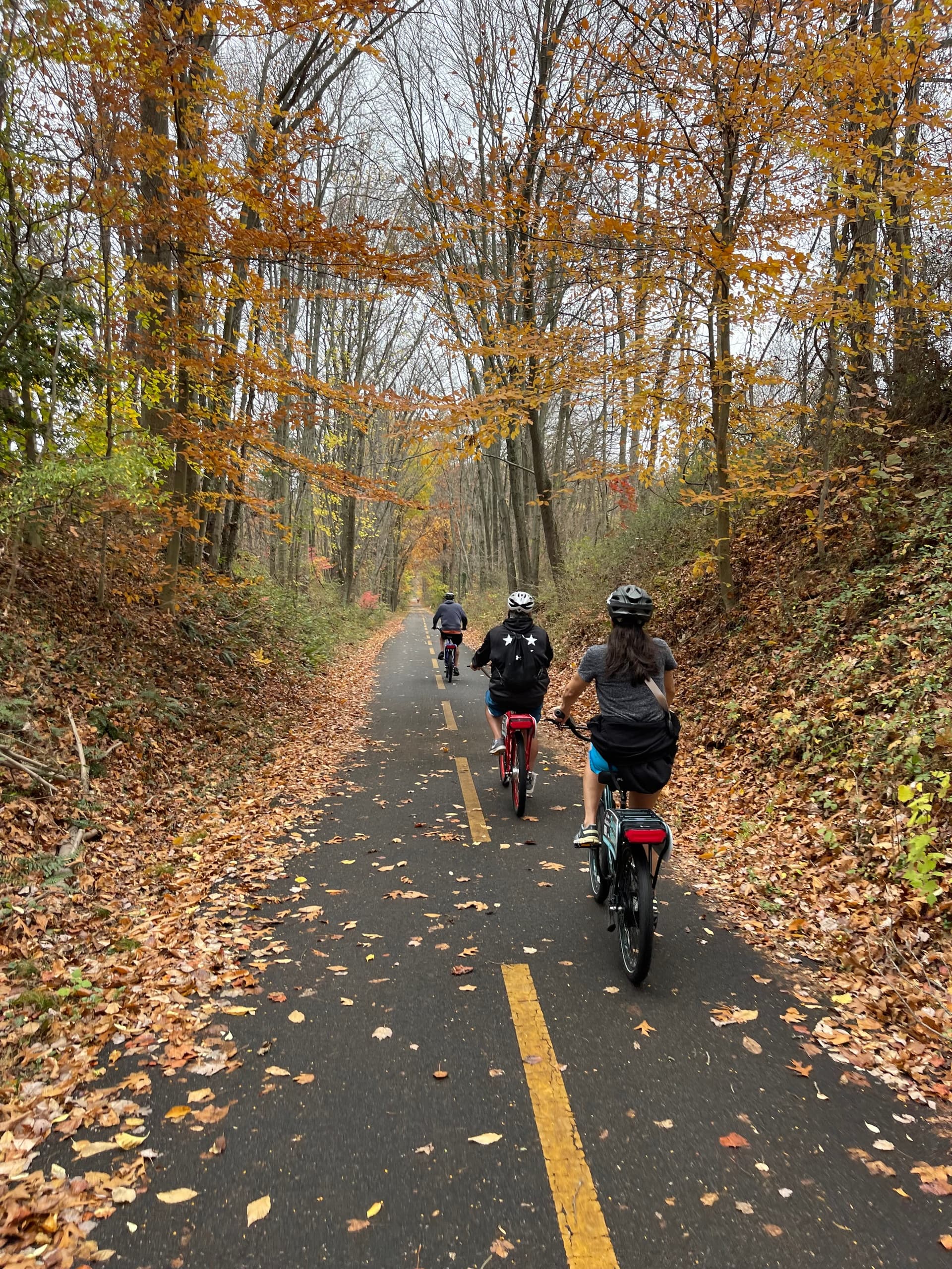 Bike Tour in Reston, Virginia