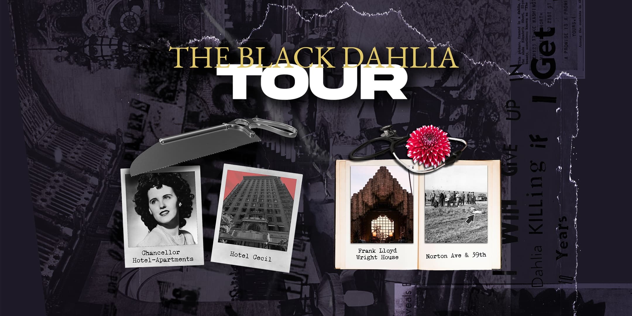Funeral Limo Tour: Tracing the Black Dahlia Through Hollywood's Darkest Corners photo 2