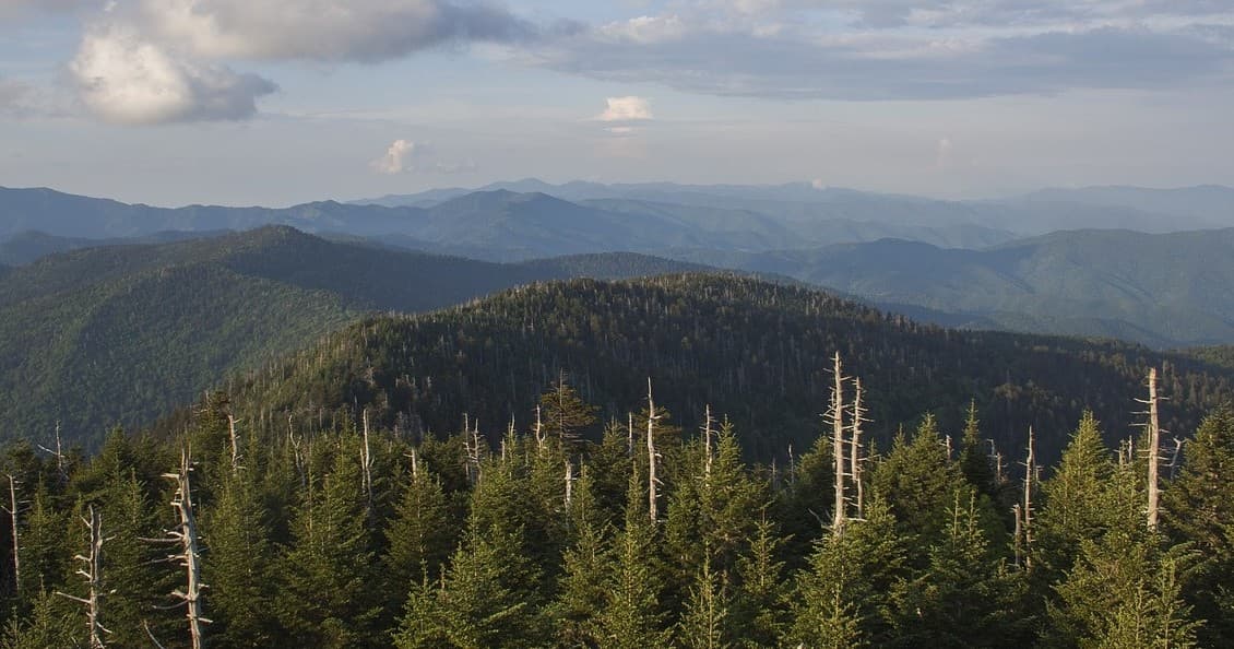 Off-Road Adventure in the Smoky Mountains with Smoky Mountains Jeep Tours