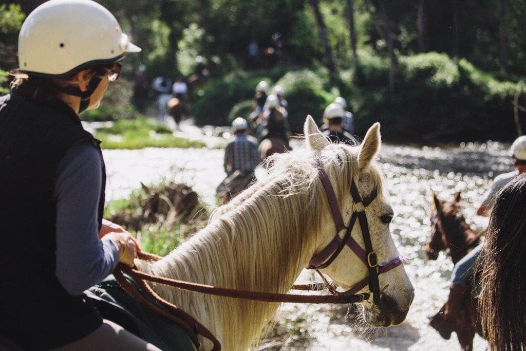 Horseback Riding Adventure at Watson's Mountain Country Trail Rides