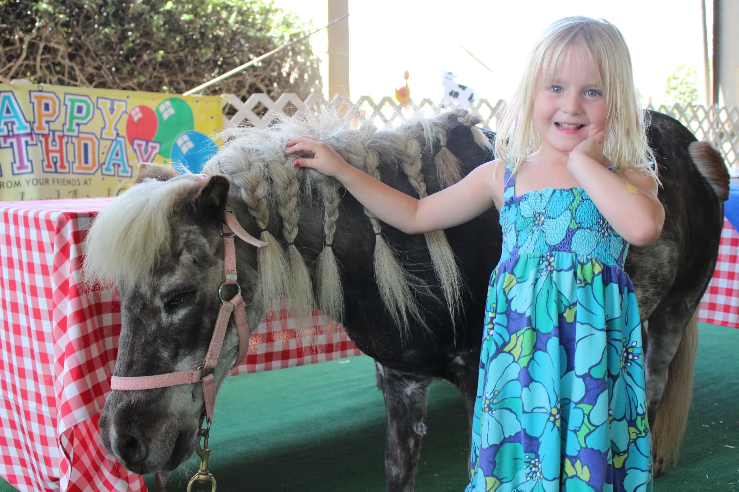 Celebrate a Pollinator Birthday Party in Del Mar, CA