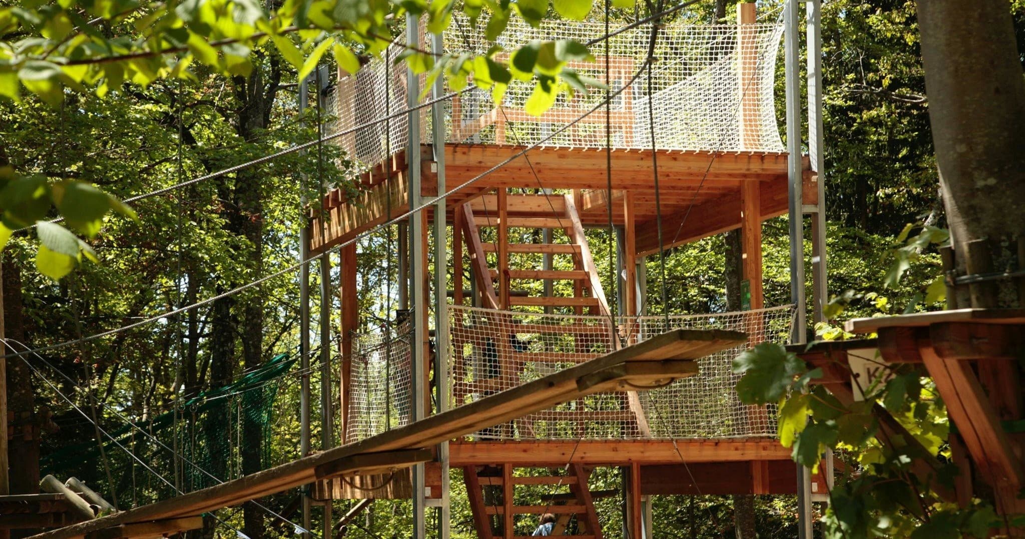 Wooden treetop platforms and rope bridges in lush forest park