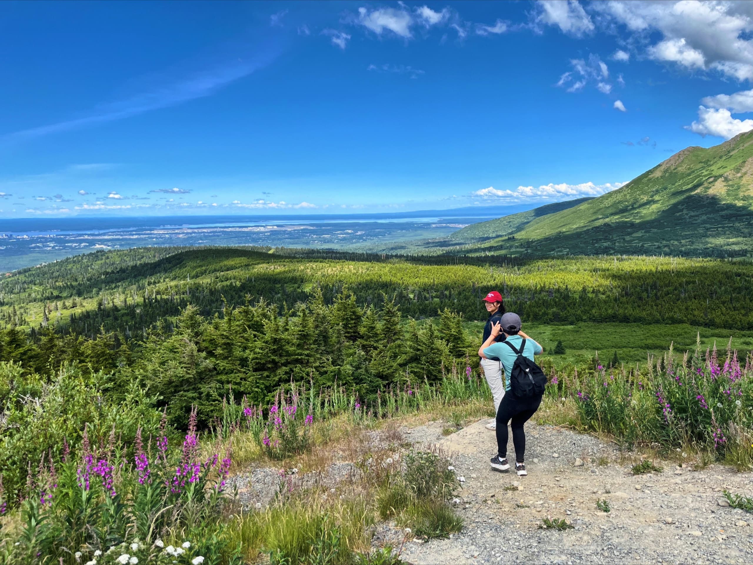 Hiker overlooking alpine valley and wildflowers near Anchorage