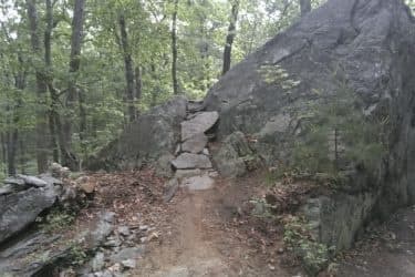 Mountain Biking Skills Clinic at Russells Mills by Dynamic Cycling Adventures