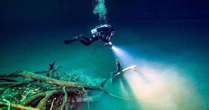 Angelita Cenote Dive with Always Diving & Water Sports
