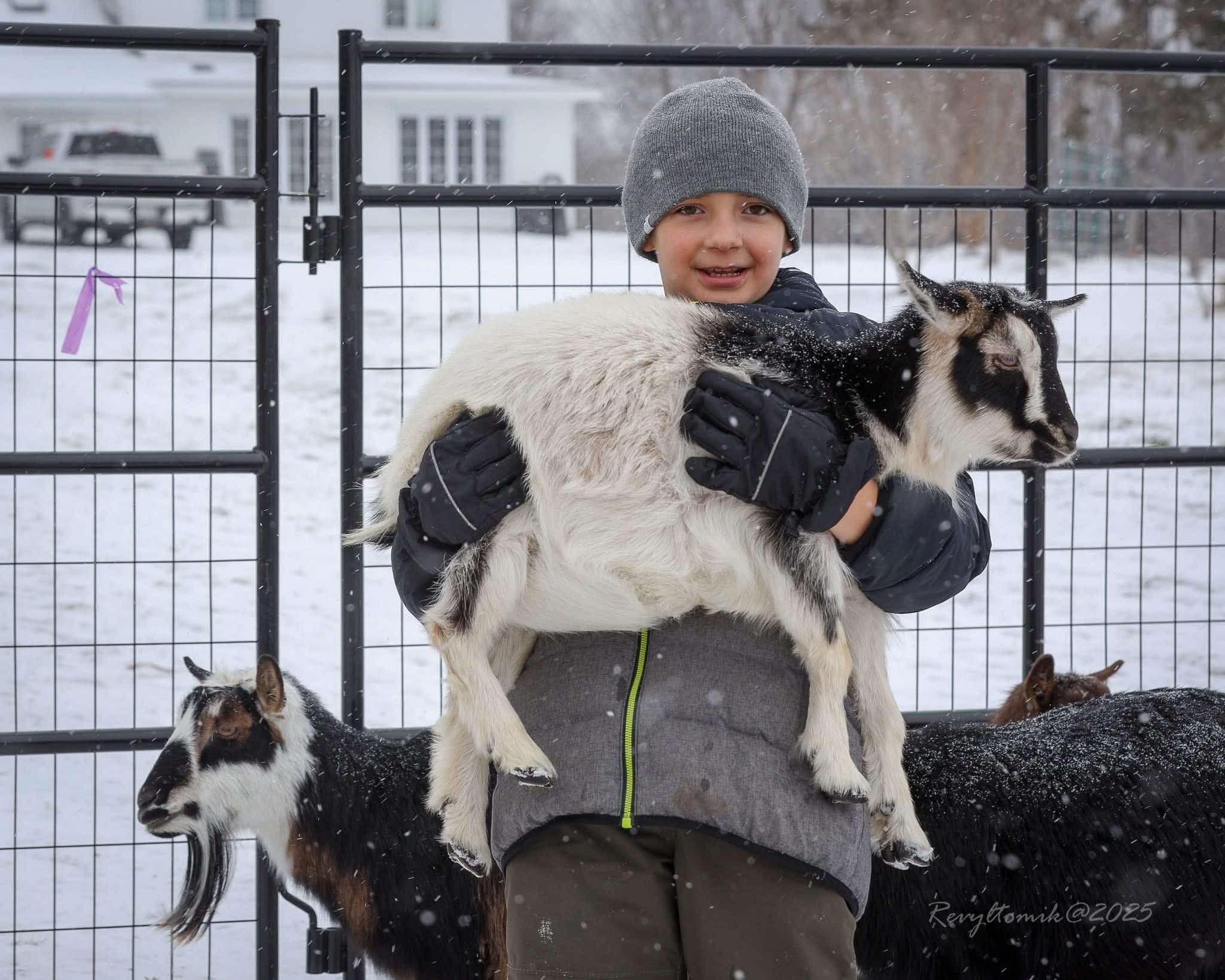 Winter Snouts & Snuggles: Farm Visit in Martintown