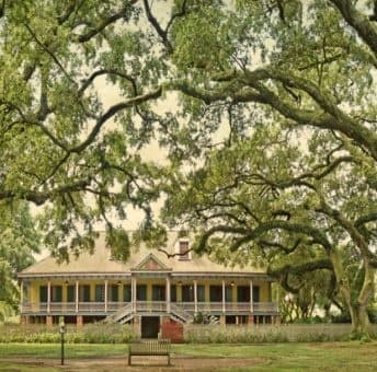 Historic creole cottage beneath sprawling live oak canopy, grounds