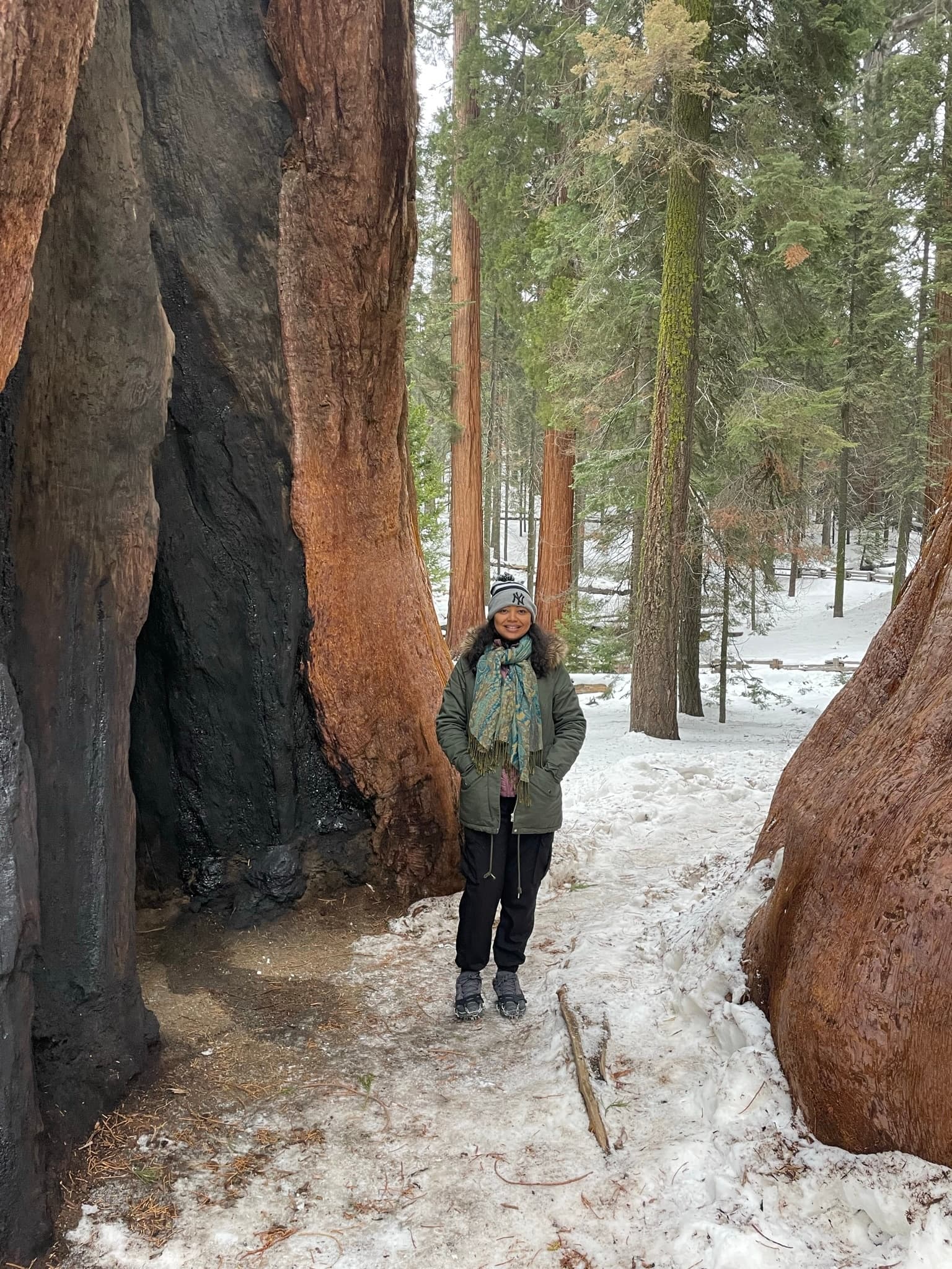 Private Sequoia National Park Tour from Fresno