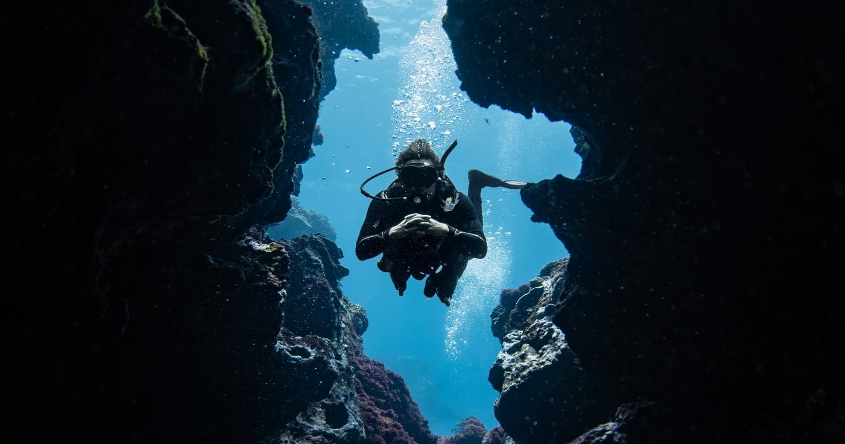 Certified Dive with Dive Lord Howe at Lord Howe Island