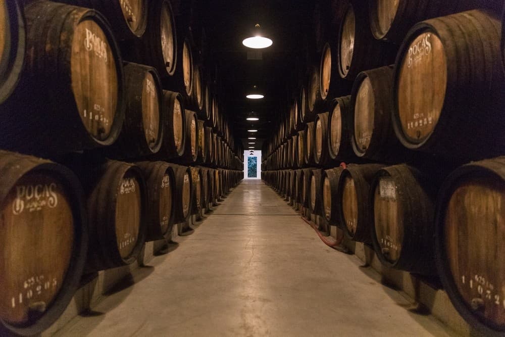 Wine Tasting & Vineyard Tour at Caves Poças in Douro