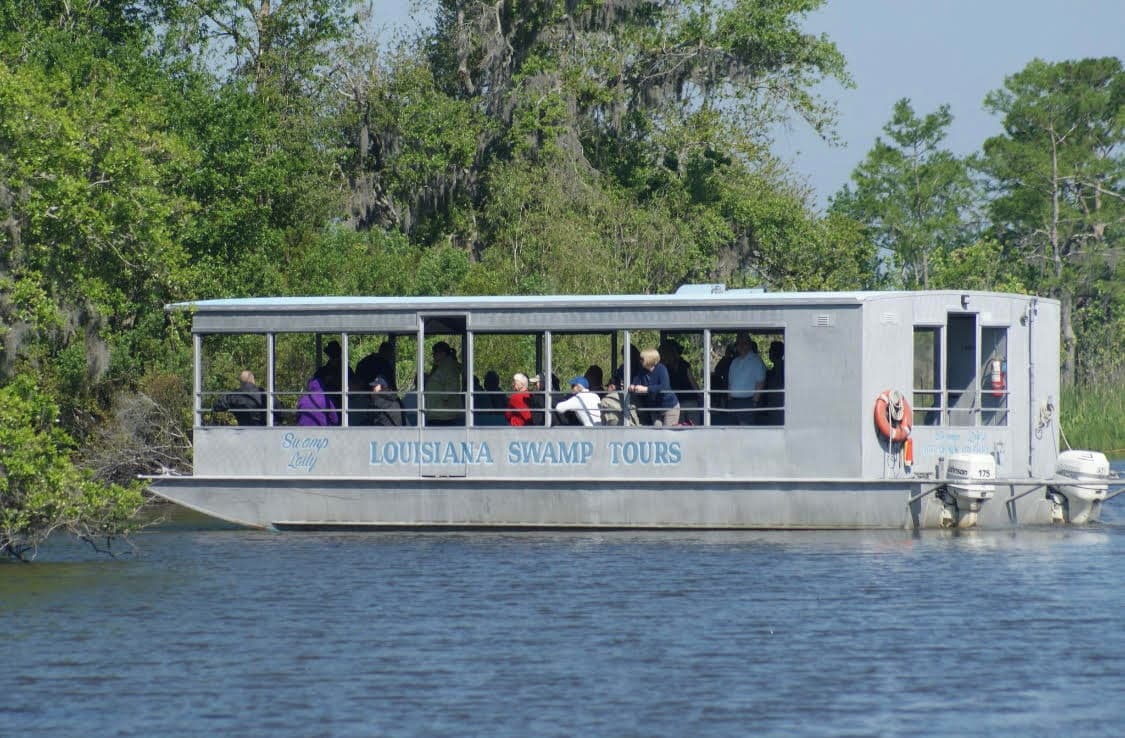 Swamp Tour by Louisiana Tour Company in Marrero, LA