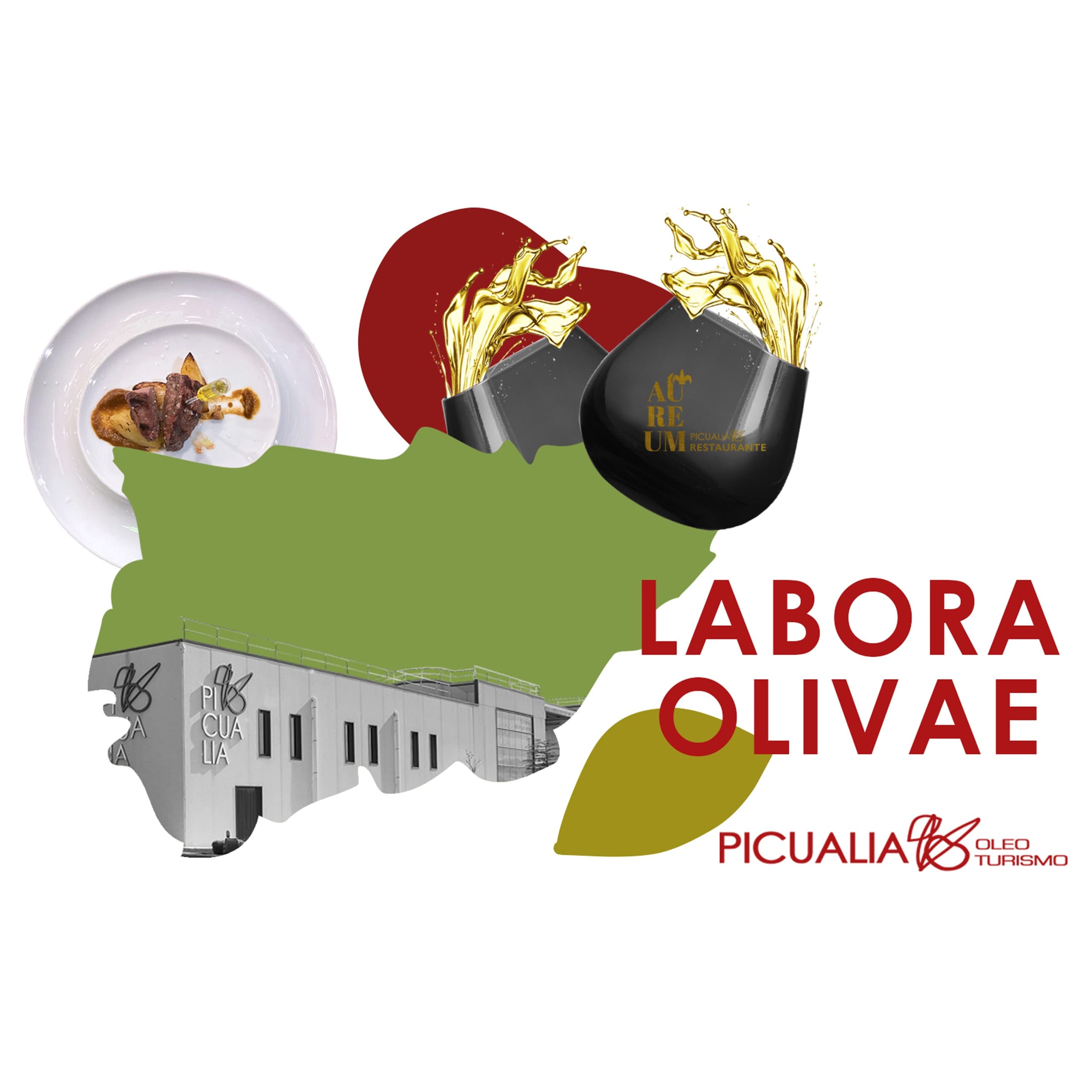 Explore Jaén’s Finest Olive Oil Experience with Degusta Jaén and Aureum Tasting Menu