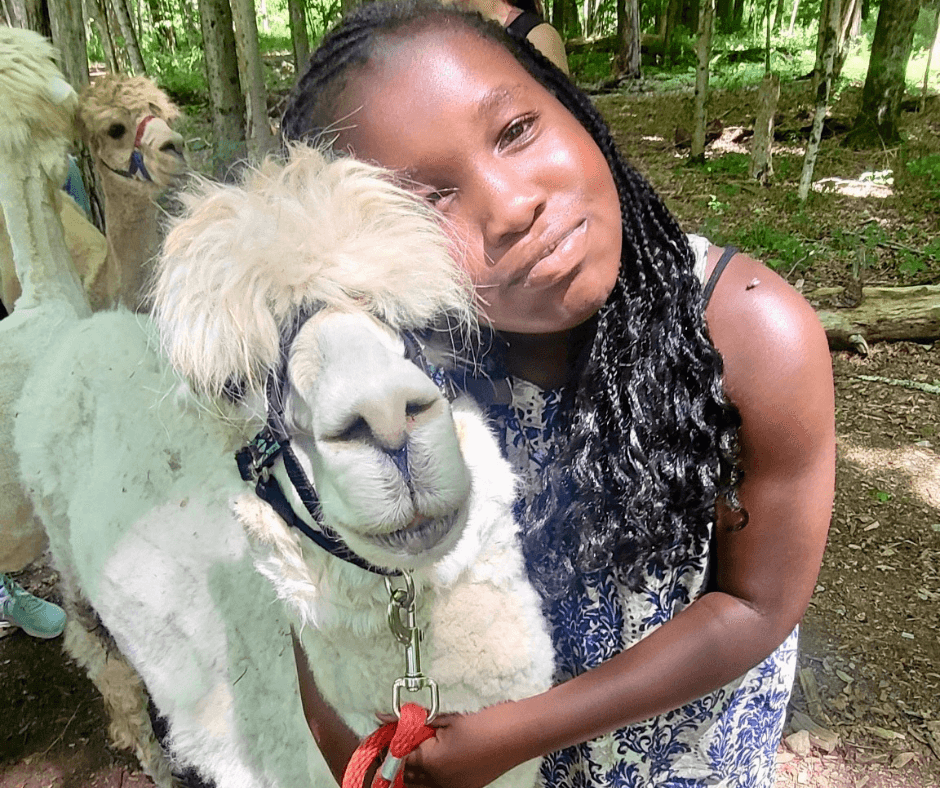 Celebrate With Alpacas: Private Alpaca Trek Birthday Party in Pleasant Valley, NY photo 1
