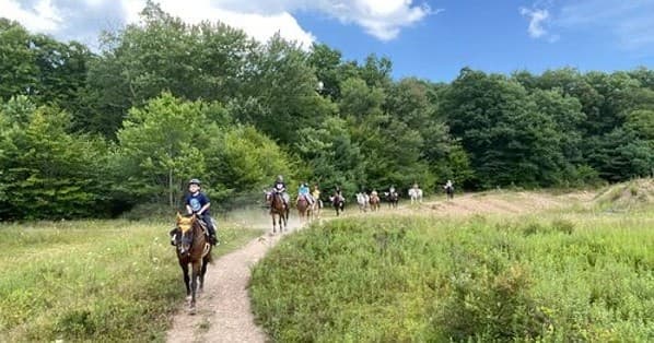 Horse Drawn Wagon Rides with Jim Thorpe Horse Adventures