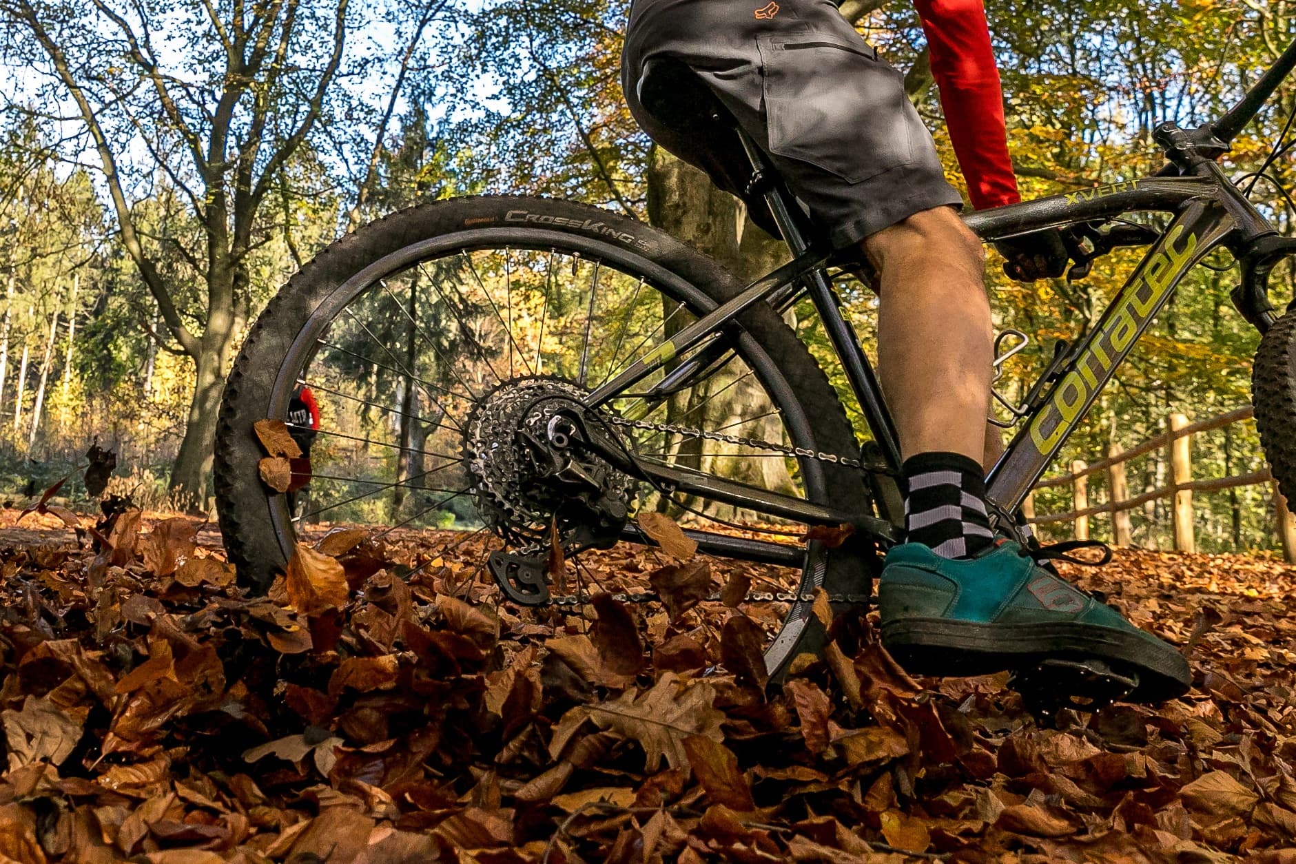 Cycling Adventure with Outline Outdoor in Lage Vuursche