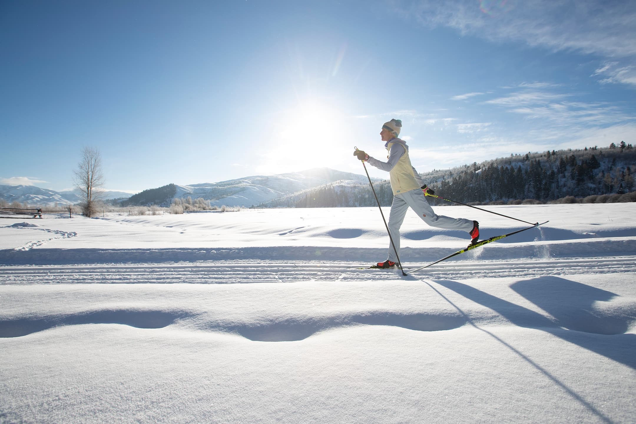 Discover Jackson Hole on a Half-Day Cross-Country Ski Adventure