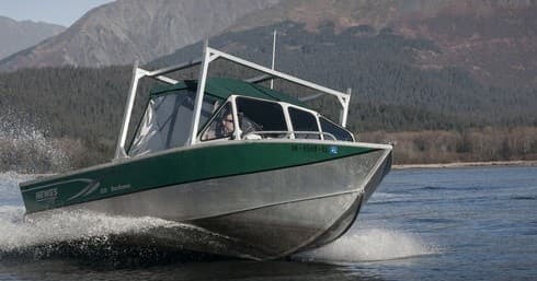 Private Full-Day Wildlife Charter in Seward — Glaciers, Whales & Bears