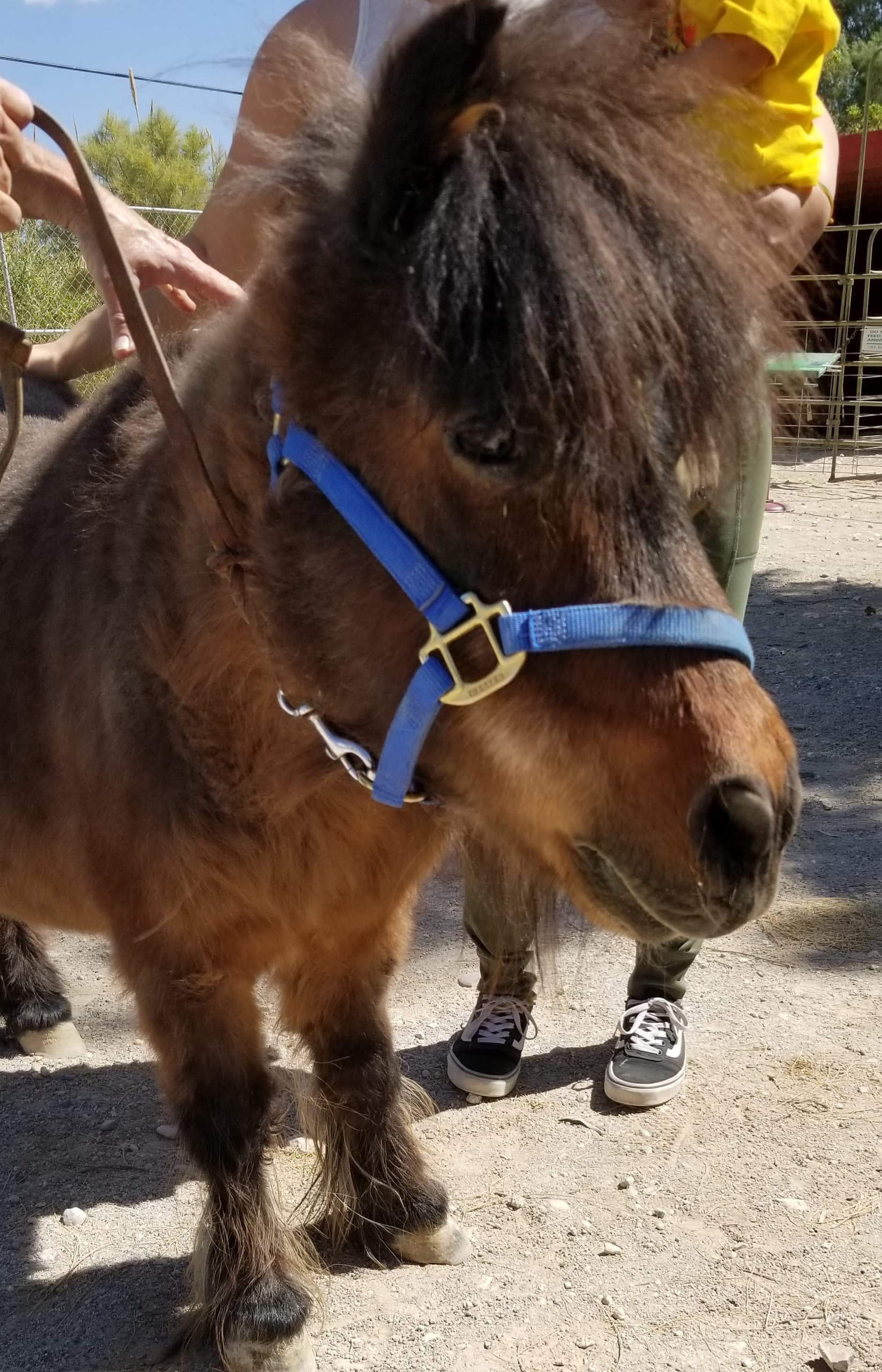 Gilcrease Nature Sanctuary fleet