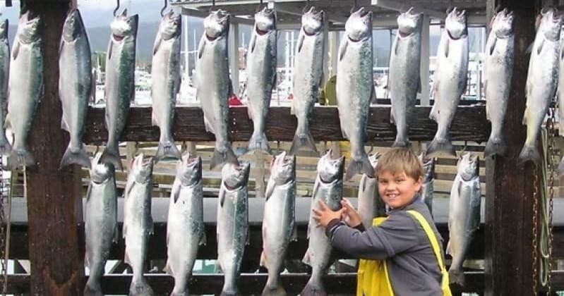 Private Rockfish Charter with The Fish House in Seward, Alaska