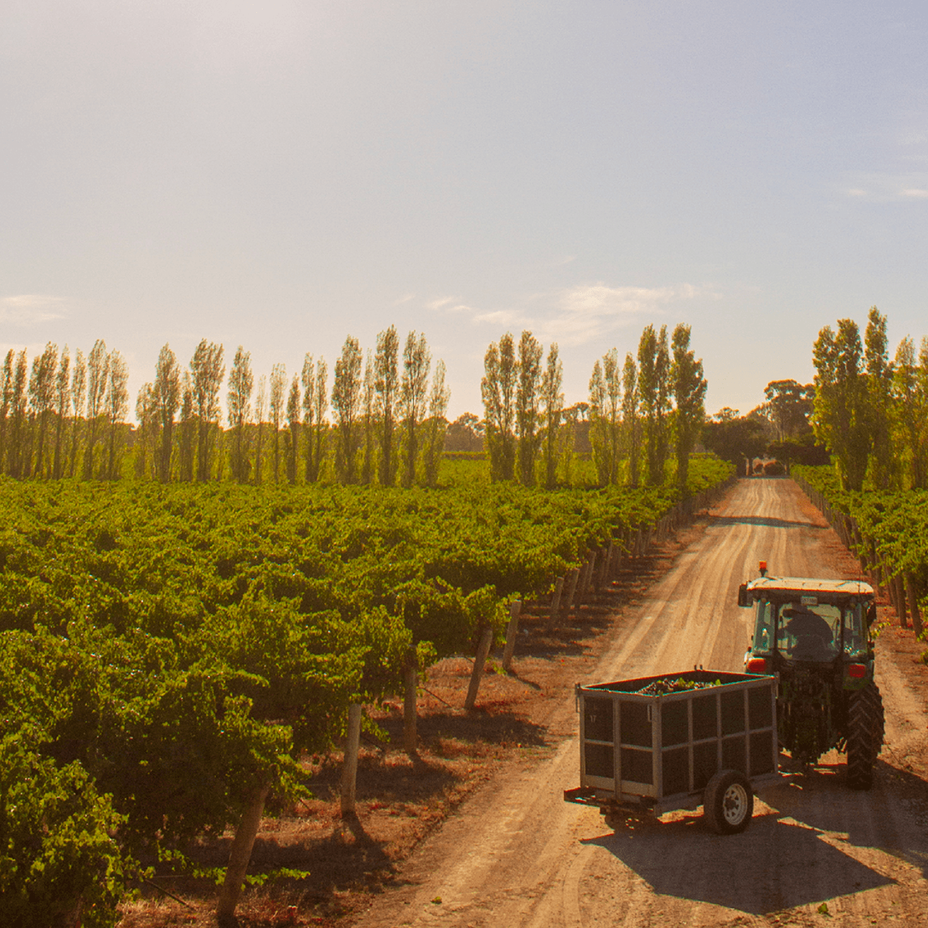 Coonawarra Wine Escape with Avia Aviation